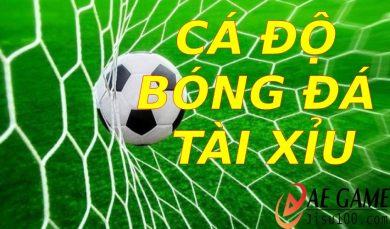 Cá độ bóng đá tài xỉu
