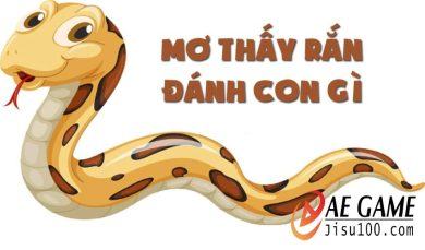 Ngủ mơ thấy rắn đánh con gì