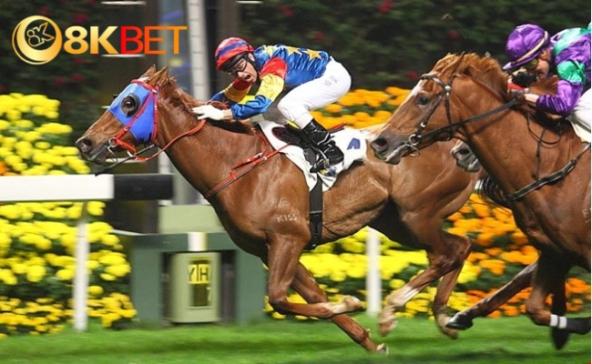 Cách chơi đua ngựa 8kbet và kỹ thuật chơi game luôn thắng